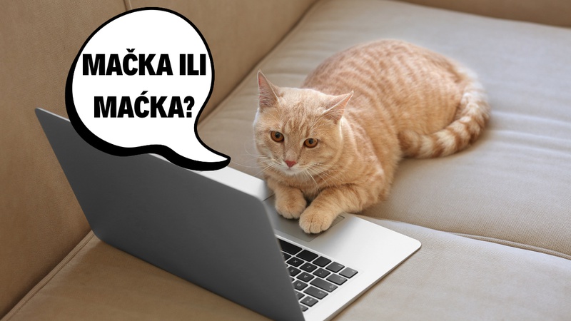 KVIZ: Možete li dobiti 9/9 na ovom pravopisnom kvizu?