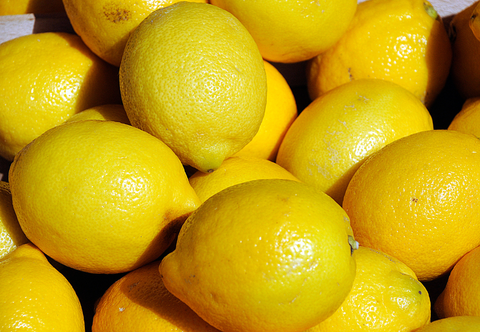  | Autor: Ivica Galovic/PIXSELL, Canva