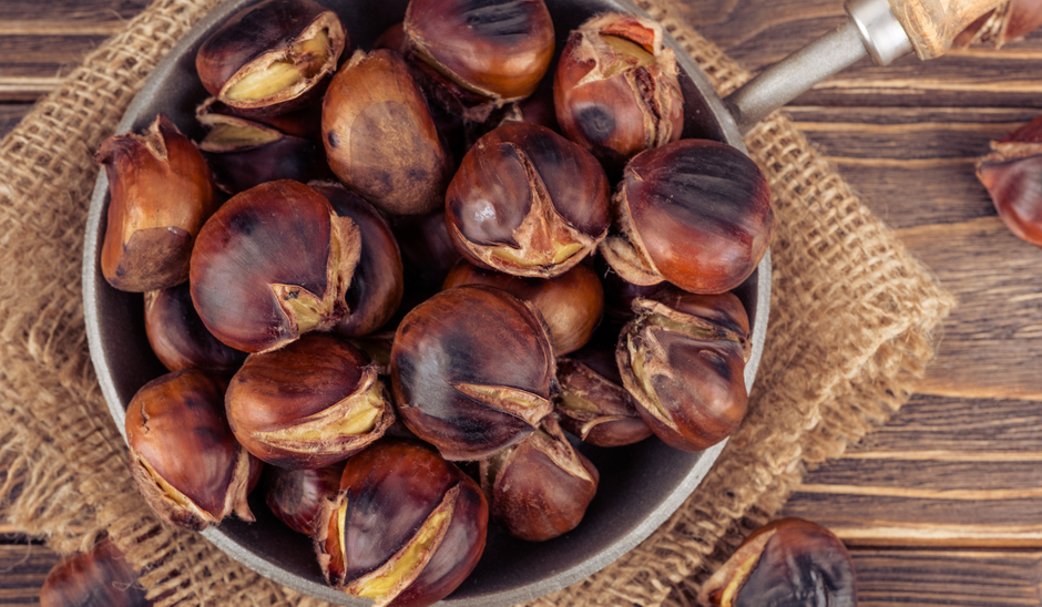  | Autor: Youtube/canva