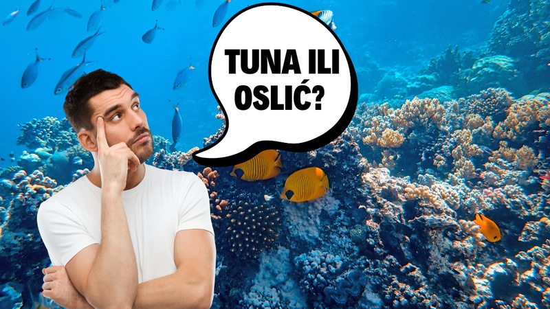 KVIZ: Ovih 8/8 vrsta riba svi znaju, zar ne?