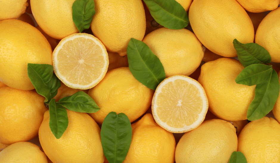  | Autor: Ivica Galovic/PIXSELL, Canva