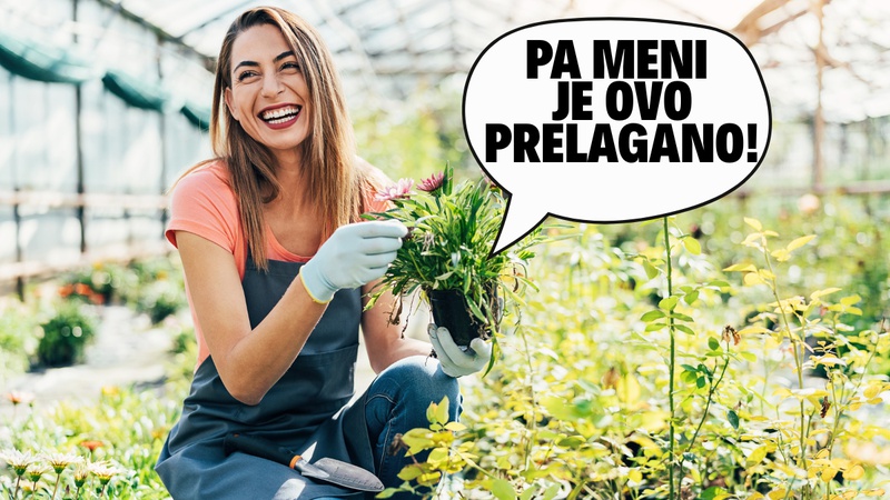 KVIZ: Samo pravi vrtlari mogu dobiti 7/7 na ovom kvizu!