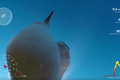 Tajni život ptica: Galeb 'oteo' GoPro i uputio se u pravu avanturu