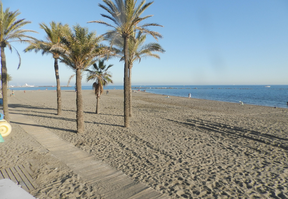  | Autor: Youtube/canva