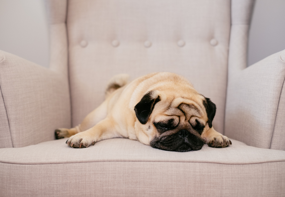  | Autor: Youtube/canva