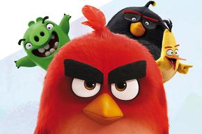 Angry Birds Billa