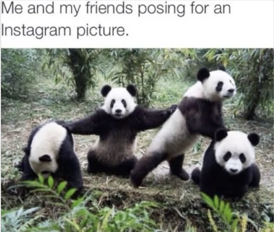  | Autor: cheezburger.com