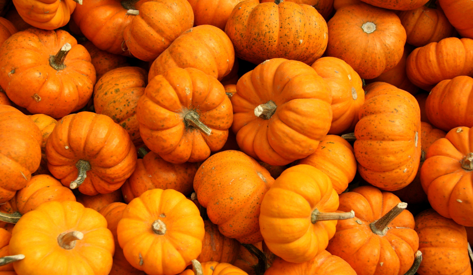  | Autor: Youtube/canva