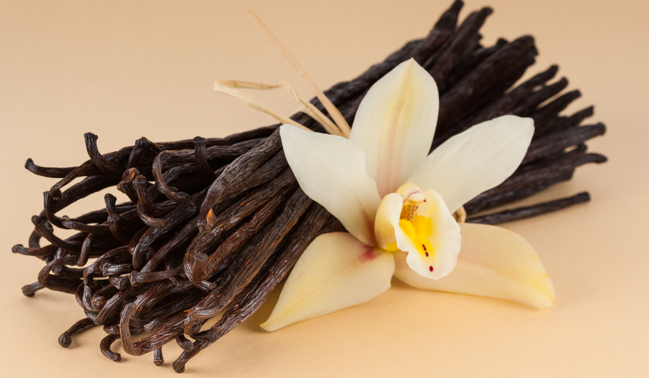  | Autor: Youtube/canva