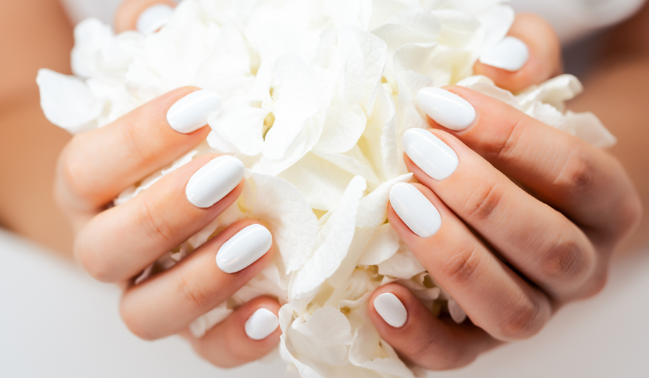  | Autor: Ivica Galovic/PIXSELL, Canva