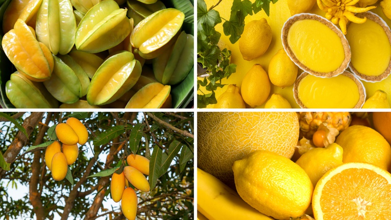 KVIZ: Prepoznajte 7/7 vrsta &zcaron;utog vo&cacute;a po jednoj fotki!