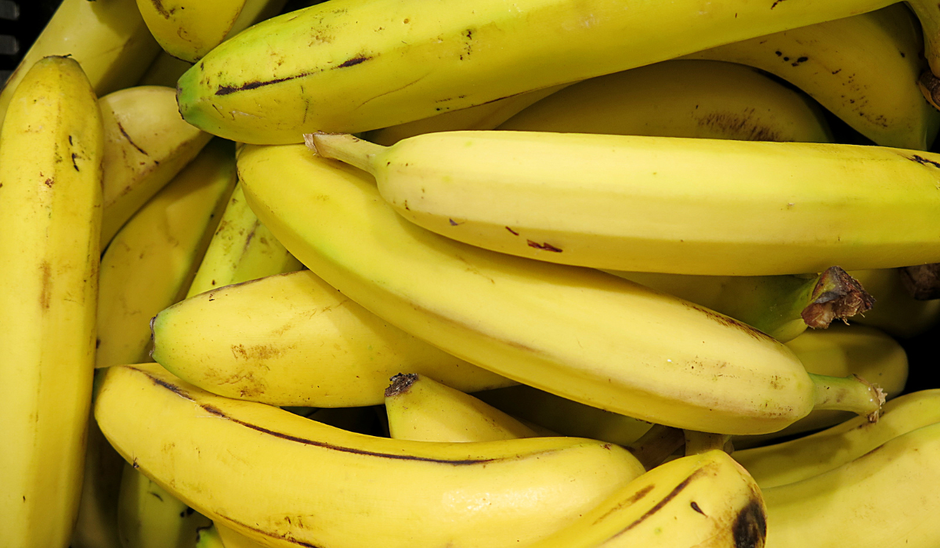  | Autor: Youtube/canva