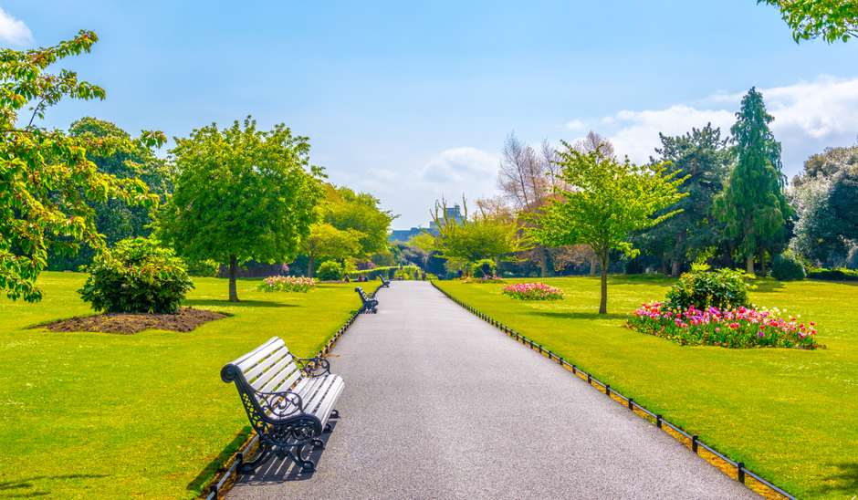  | Autor: Youtube/canva