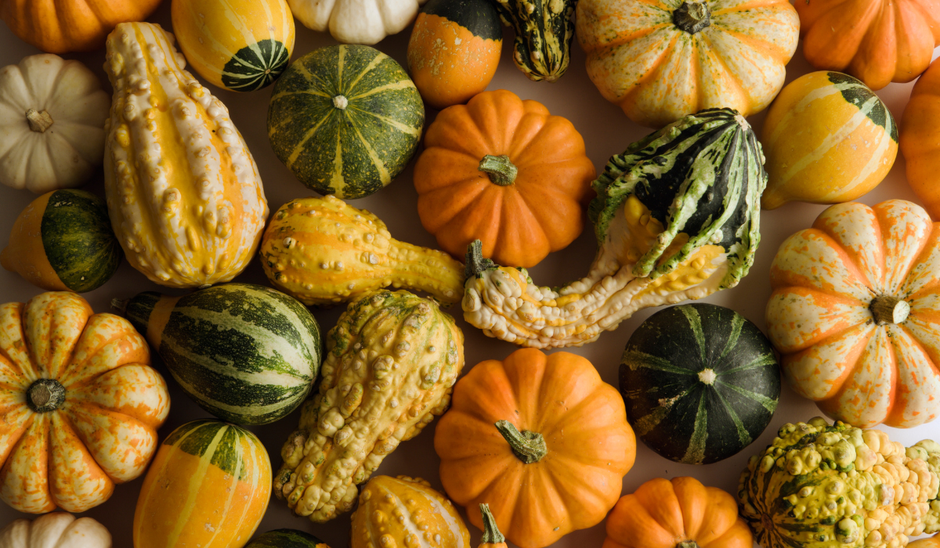  | Autor: Youtube/canva