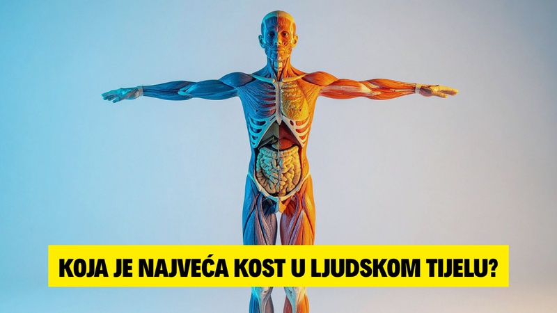 KVIZ: Mo&zcaron;ete li pro&cacute;i ovih 9/9 pitanja o ljudskom tijelu?