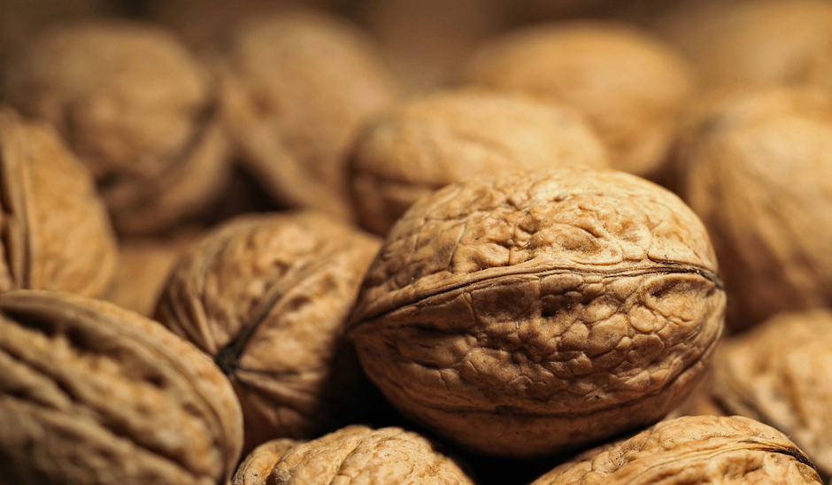  | Autor: Pixsell/Miranda Cikotic/Canva