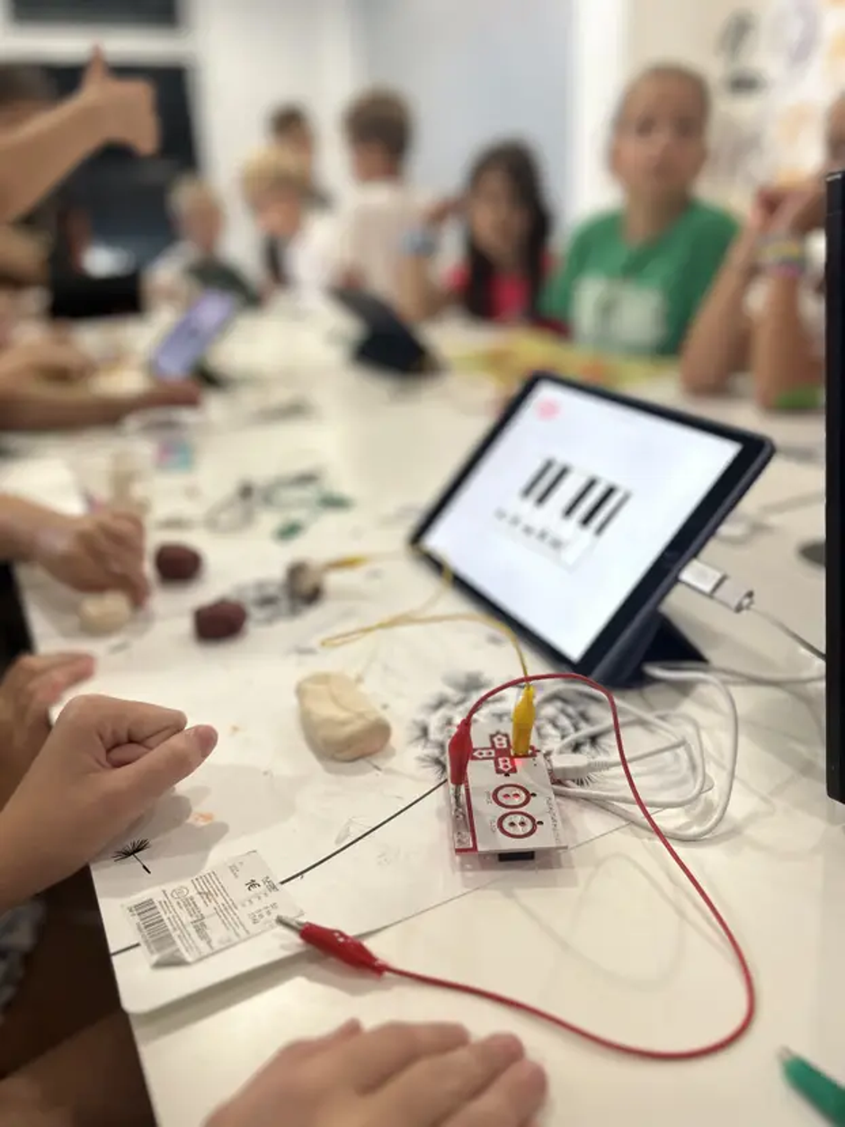  | Autor: Foto: PLUS MINUS centar