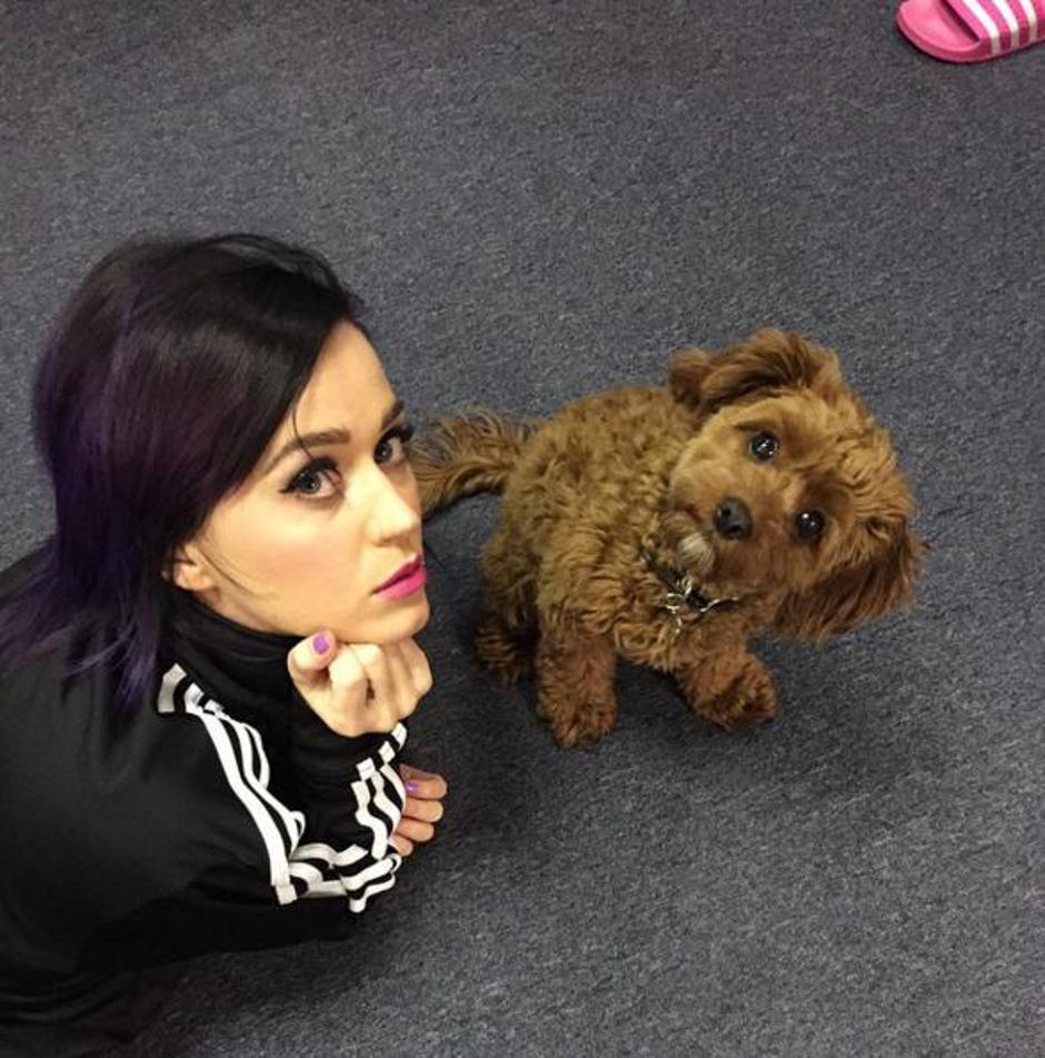 Katy Perry | Autor: Instagram