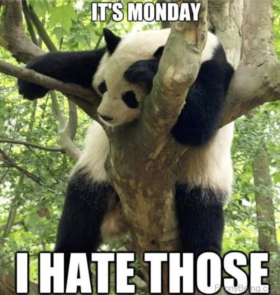  | Autor: cheezburger.com