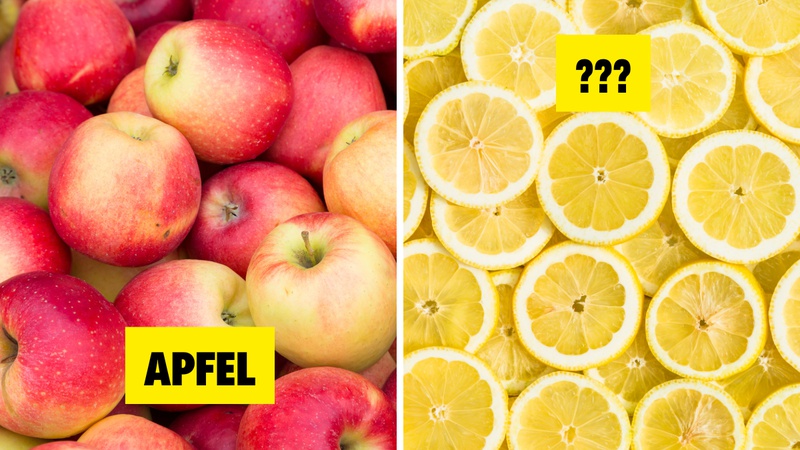 KVIZ: Mo&zcaron;e&scaron; li spojiti 8/8 vo&cacute;a s njema&ccaron;kim nazivom?