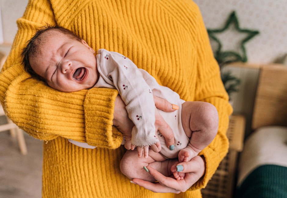  | Autor: Youtube/canva