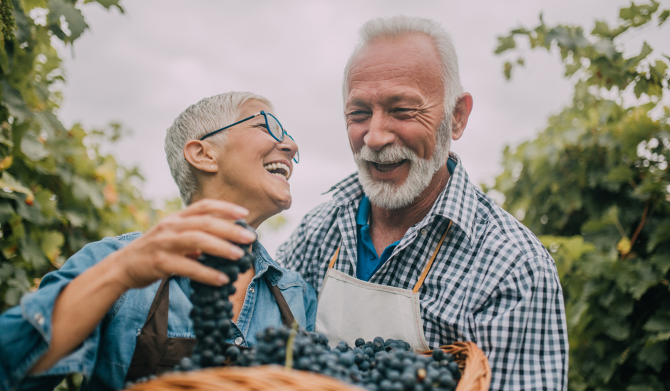  | Autor: Youtube/canva