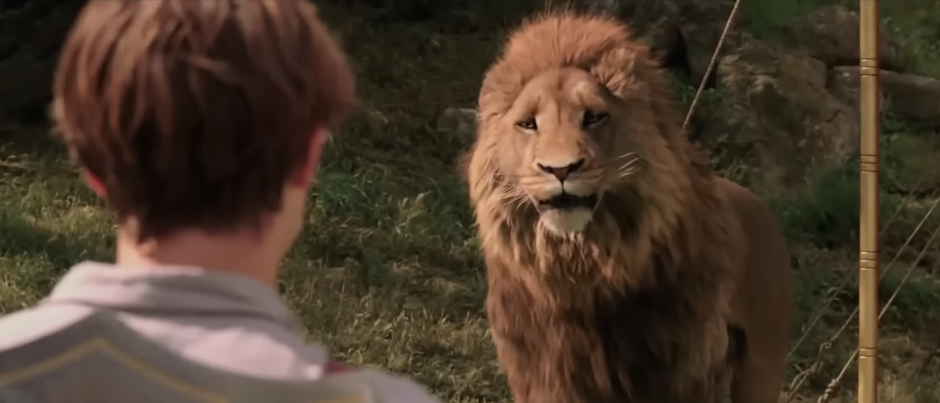  | Autor: screenshot/youtube