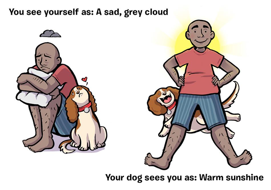 Urnebesno: Kako te vidi tvoj pas?