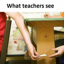 A kako to učitelji vide...