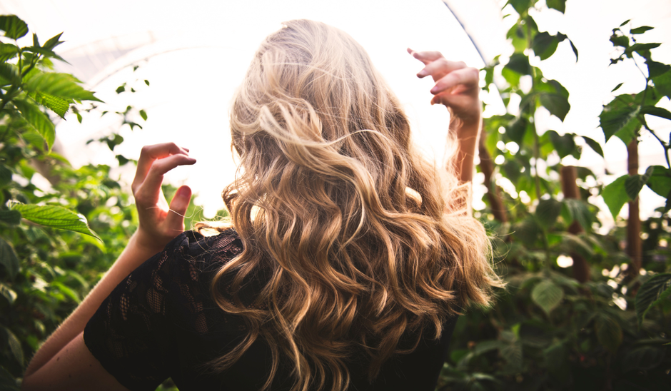  | Autor: canva