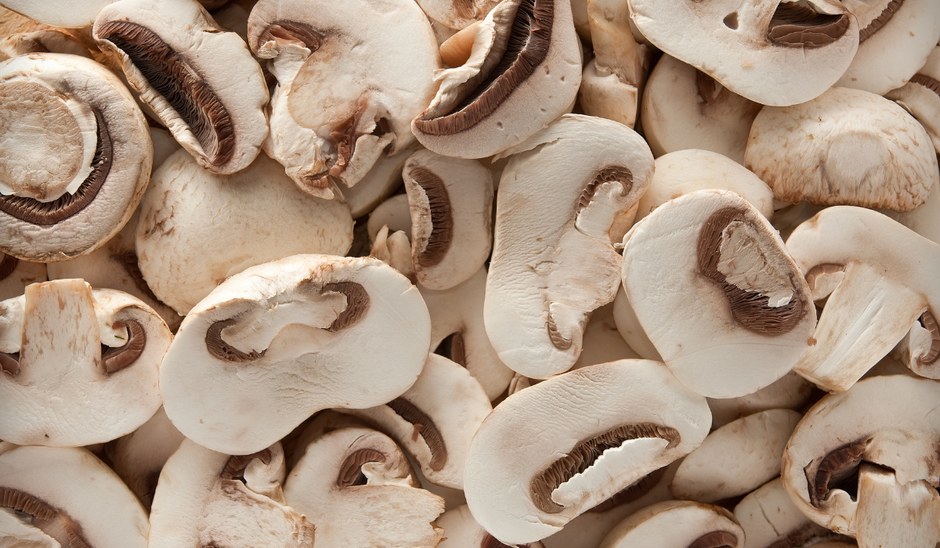  | Autor: Youtube/canva