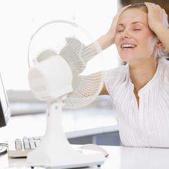 Ventilator