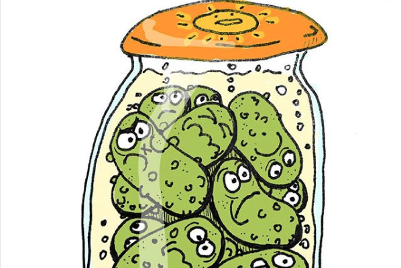 Stigla Sezona Kiselih Krastavaca Doslovno Ili Joomboos 24sata Hr