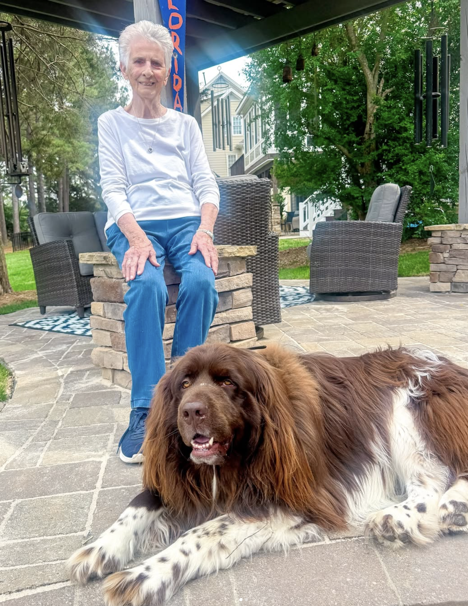  | Autor: instagram/@ chewythenewfoundland