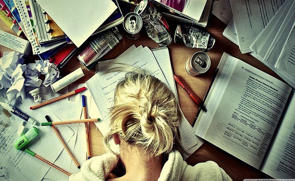  | Autor: hercampus.com